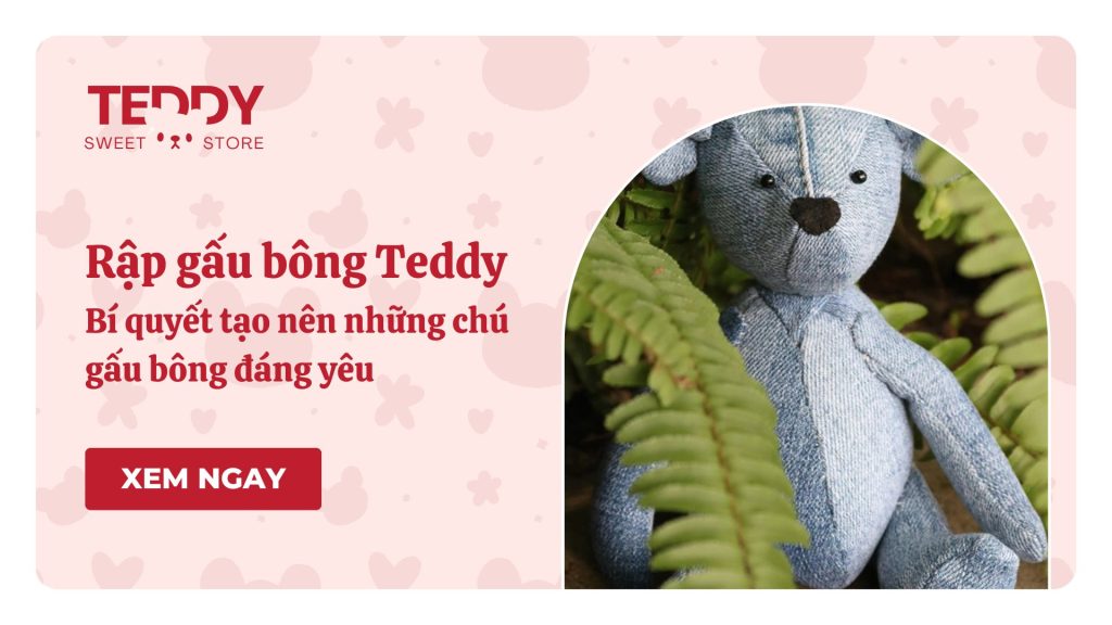 rập gấu teddy